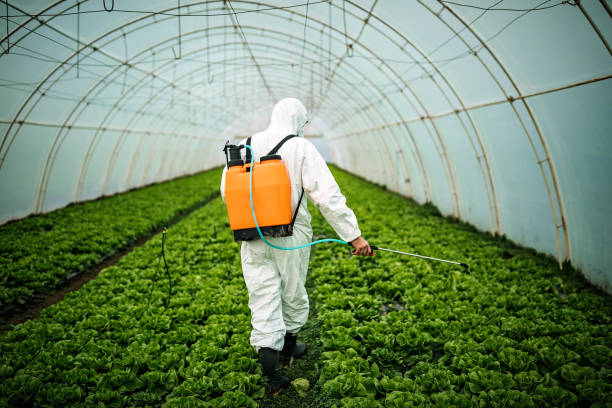 Best Best Pest Control Companies  in Oronoco, MN