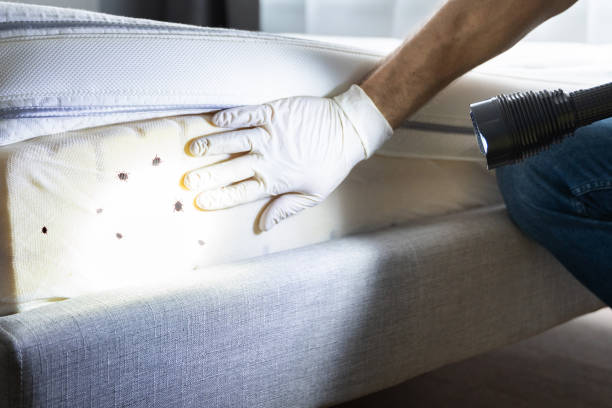 Pest Control for Restaurants in Oronoco, MN